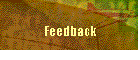 Feedback