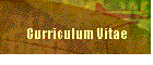 Curriculum Vitae